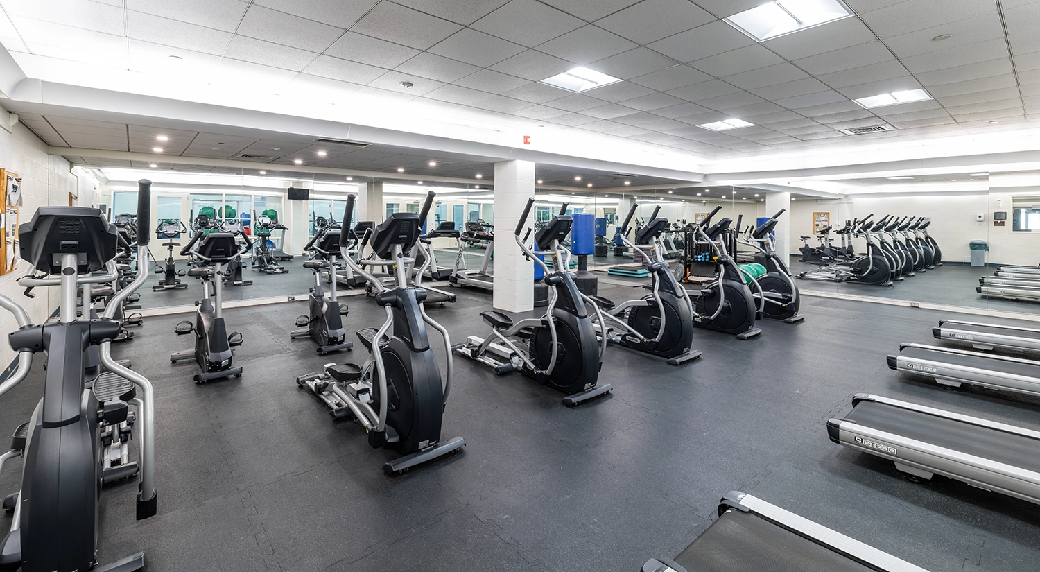 A spacious gym with rows of treadmills, elliptical machines, and stationary bikes on a black rubber floor, surrounded by mirrors and bright overhead lighting.