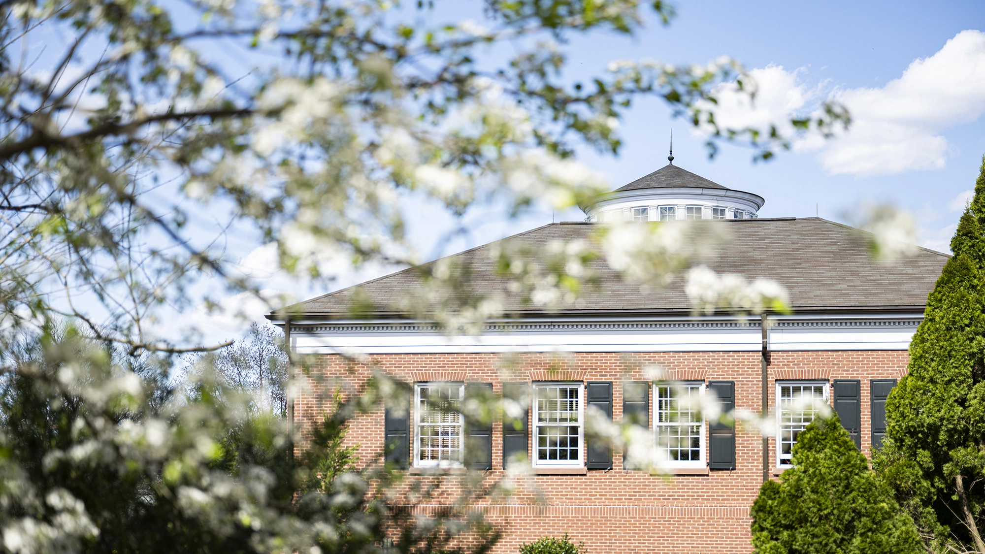 A red brick building with white-trimmed windows and a gray cupola is partially obscured by blooming white flowers and green trees on a sunny day.