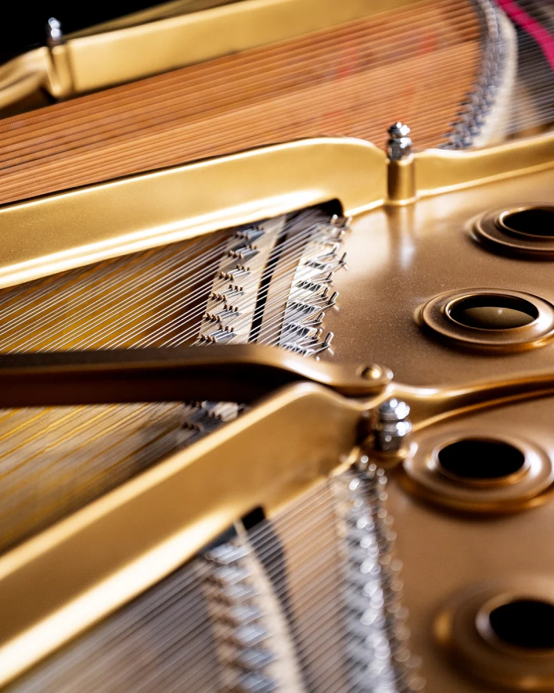 Close-up of the inside of a grand piano, showing gold-colored metal strings, frame, and tuning pins, with part of the soundboard and circular sound holes visible.