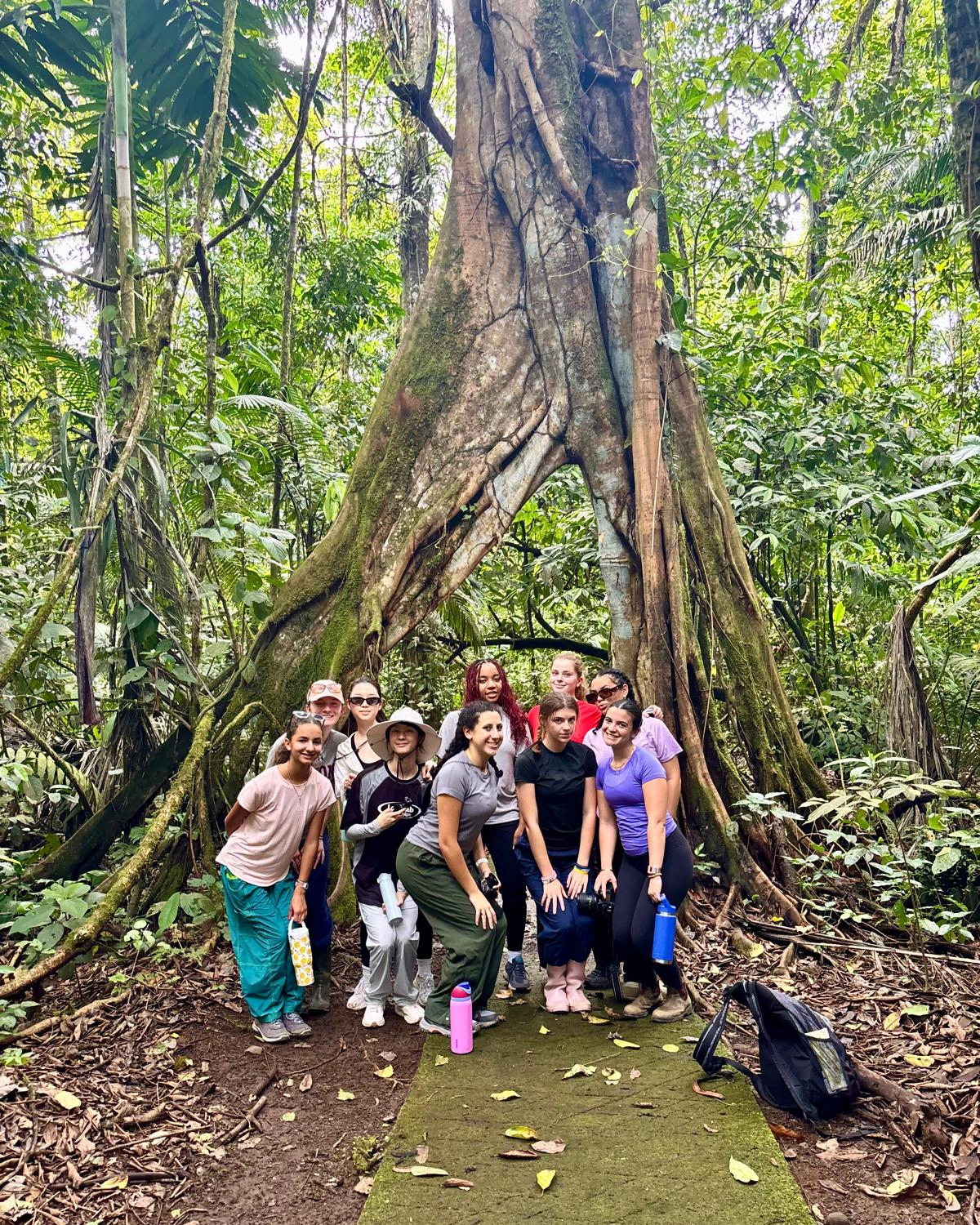 MPS Costa Rica 5