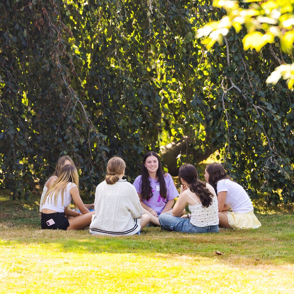 a group of girls sit outside on a grassy lawn in the sunshine surrounded by trees
