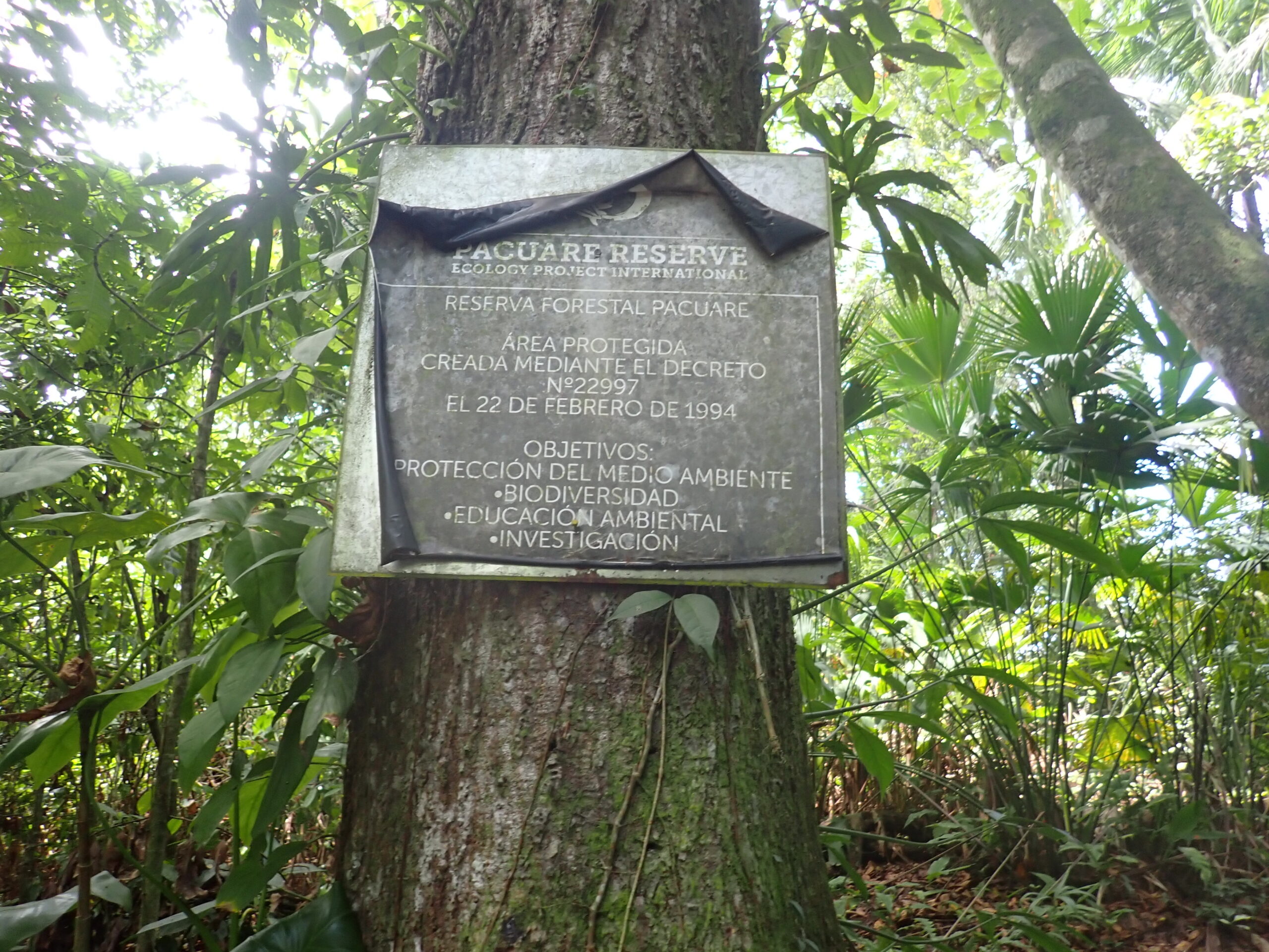 PA010169 (1)