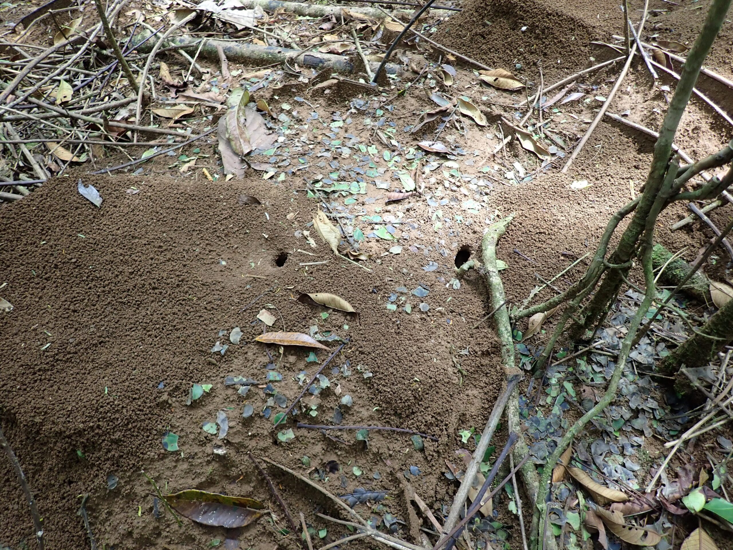 PA021891