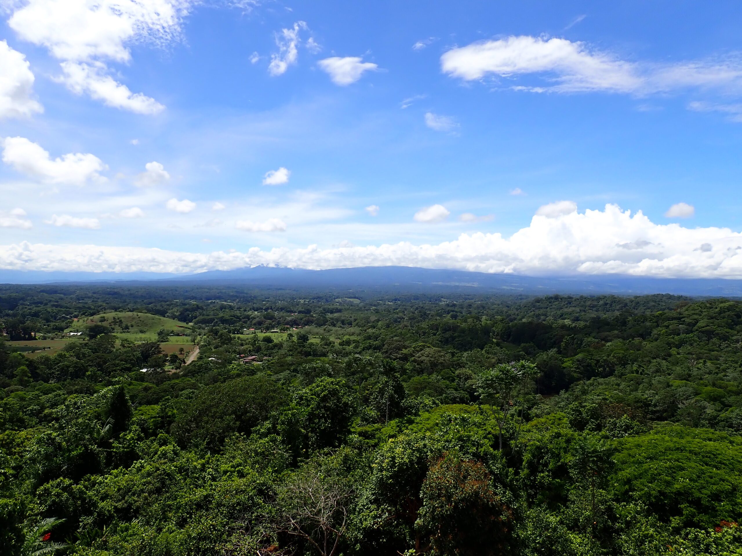 PA081678