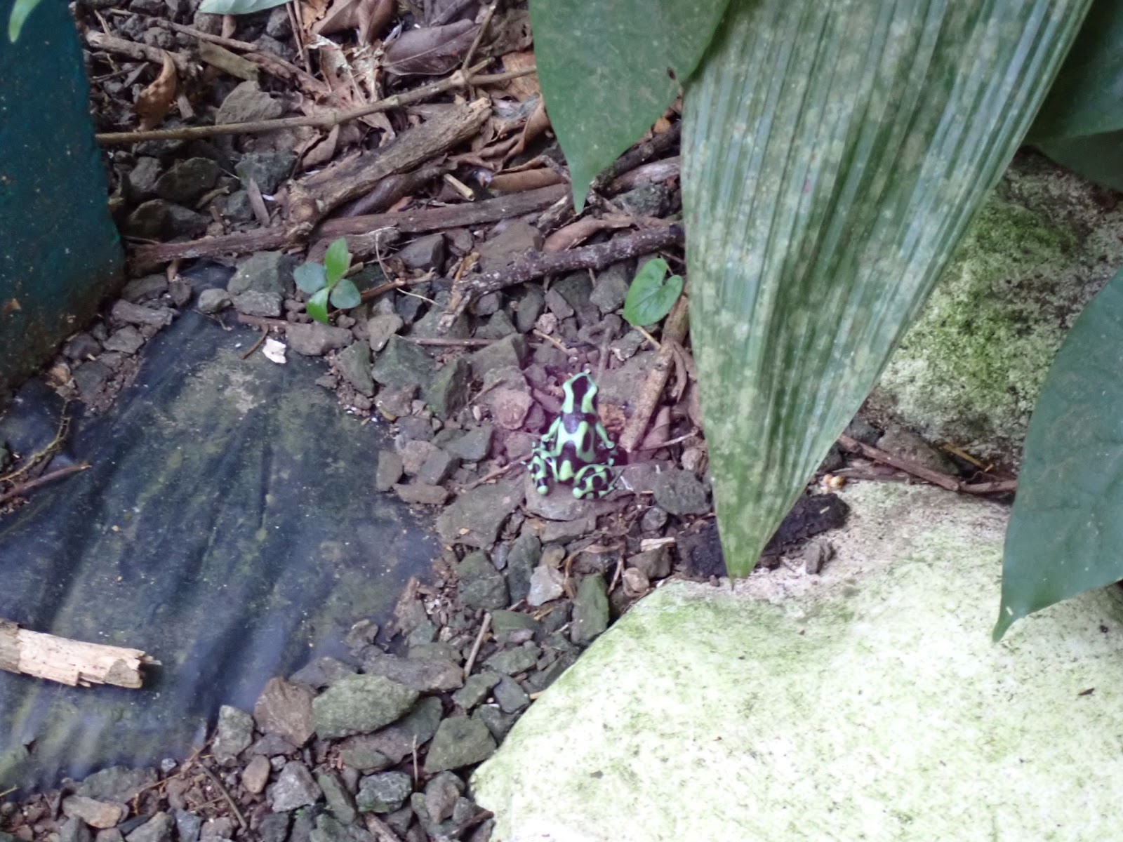 image 13