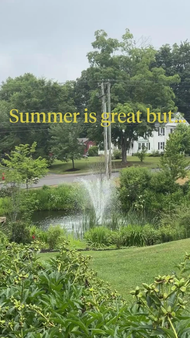 Summer is great, but we have an itch for all things fall/back to school in Farmington. We can't wait to have you back o…